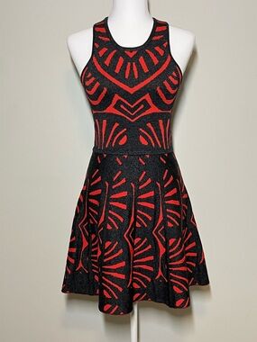 Parker Sleeveless Fit & Flare Knit Sweater Dress Sleeveless Red Grey Size S